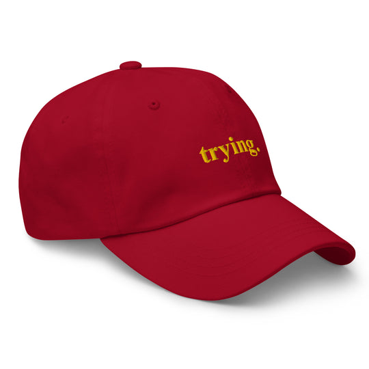 Trying: Red Dad Hat