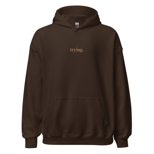 Trying: Chocolate Hoodie