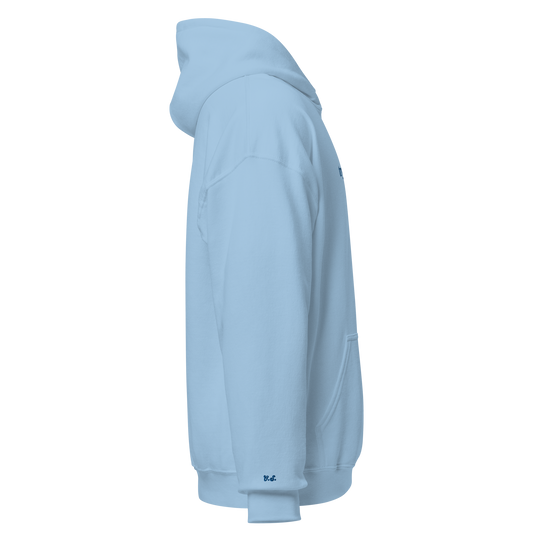 Trying: Blue Hoodie