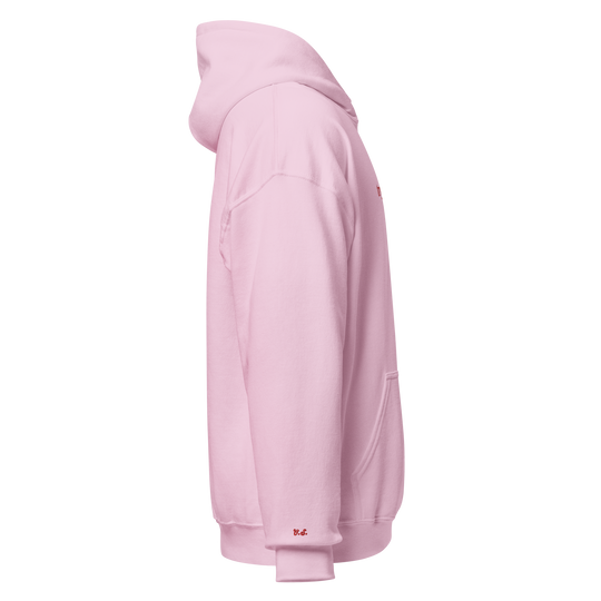 Trying: Pink Hoodie