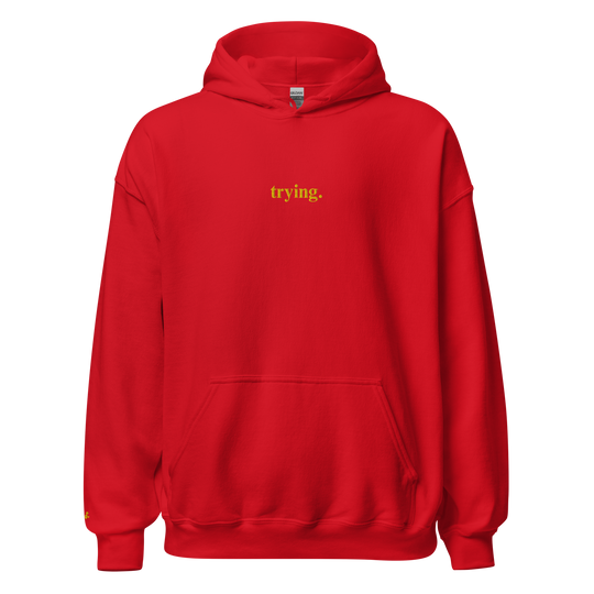 Trying: Red Hoodie