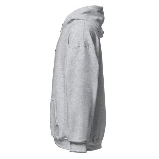 Trying: Grey Hoodie