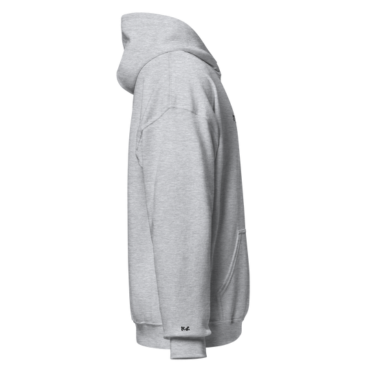 Trying: Grey Hoodie